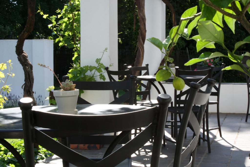 Lemon & Lime Guesthouse 블룸폰테인 외부 사진