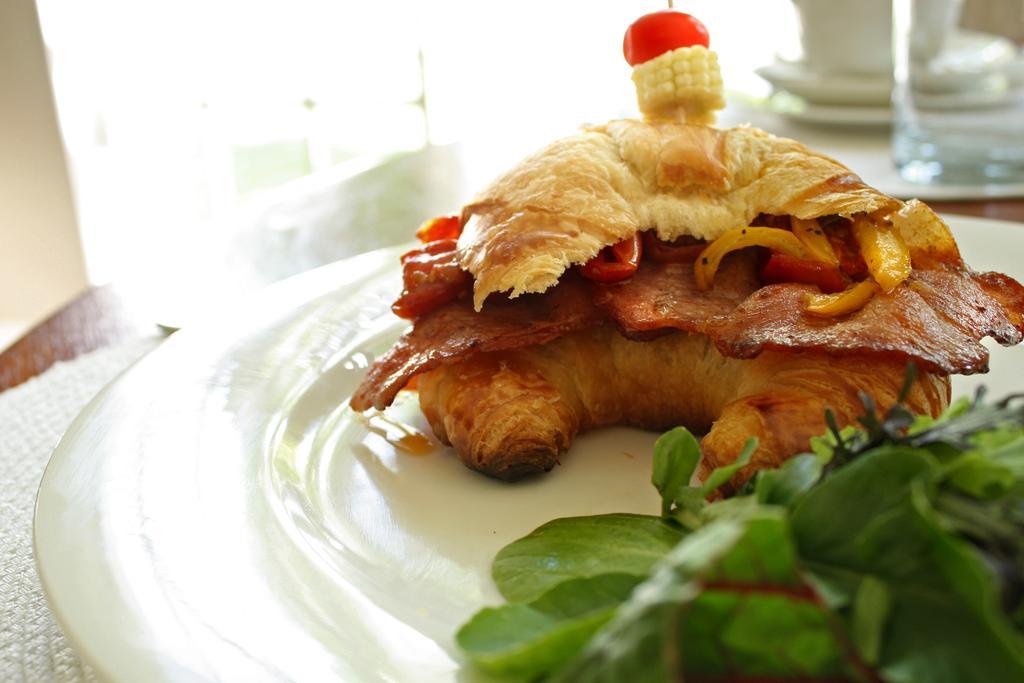 Lemon & Lime Guesthouse 블룸폰테인 외부 사진